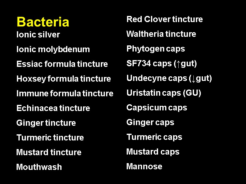 Bacteria             